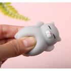 Cute Squishy Mochi Animal Stress Relief Toys Soft Tpr Squeeze Pinch Funny Toys