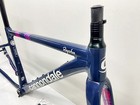 Cannondale Caad 13 Aluminum Road Bike Frameset 2021 Size 44 Team Replica