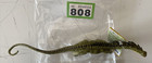 Ae808 Safari Carnegie Amargasaurus Dinosaur Toy Rare New Bnwt Collectable Model