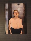 Carolina Sukie - 5 X 7-inch Pinup Girl Semi-glossy Artistic Reprint Photo   2