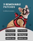 Service Dog Vest For Small Dogs - Lightweight Dog Harness With 6pcs Removable   