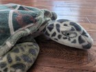 Melissa   Doug Sea Turtle Giant Plush Stuffed Animal Realistic Kids Toy 30  X29 
