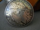 Native American Domed Morgan Silver Dollar 11 Walking Liberty Half Dollars Belt