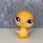     authentic Littlest Pet Shop Lps Chick  290 Orange Yellow Blue Eyes Rare Pet    