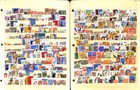 New Zealand Stamp Collection On 13 Stock Pages  Nice Selction Used Lot  fb 