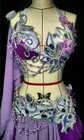 Belly Dance Costume Outfit Set Bra Belt Hip Scarf Arm Skirt Bollywood Carnival