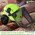 Forestry Safety Helmet Chainsaw Helmet With Mesh Face Shield And Ear Muffs