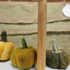 Needle Felted Pumpkins  For Fall  Halloween Decor