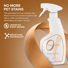 - Pet Stain Remover   Odor Eliminator - Permanently Remove Stain   Odor With Pat