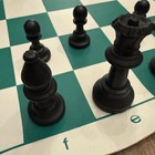 Amerous 17    Portable Chess   Checkers Set  Travel Board Game In Tube For Kids 