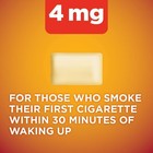 Nicotine Polacrilex Coated Gum 4 Mg Cinnamon Flavor 160 Count