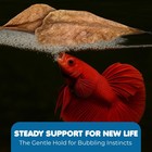 Sungrow Saver Bundle Pack  Catappa Indian Almond Leaves 50pcs  small 2        