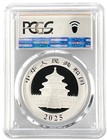 2025 China 10 Yuan 30 Gram Silver Panda Pcgs Ms70 - Flag Label