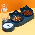 Pet Bowls With Water Feeder  3 In 1 Ear Design Tilted Cat Water And Food Bowl Se