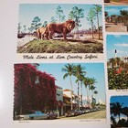Lot Of 8 Vtg Uncirculated Florida Postcards Lion Country Safari  Beaches  Motels