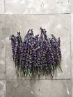Organic Natural Air Dried California Usa Lavender Flower Bunches