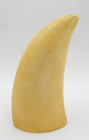 Vintage Artek Blank Reproduction Whale Replica Tooth For Faux Scrimshaw