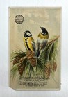 Vintage Clark   s Mike-end Spool Cotton Trading Card Six Cord Tomtits Bird Card