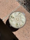 Mt washington Crown Milano pairpoint Trinket Box Marked  Enameled Opaline Top 