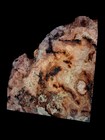 Xl Mind Blowing Birdseye Red Oak Burl Wood Blank Craft epoxy Wood  Spaghetti Oak