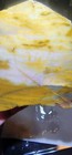 Oregon Sunset Agate Oregon Sunset Jasper Rare Lapidary Rough End Cut   95 Grams 