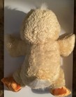 Dan Dee Collectors Choice Setting Yellow Duck Plush Stuffed 15 Inch Lnwot Used