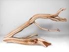 23 5  Manzanita Driftwood Branch  Reptile Habitat  Aquascaping Decor