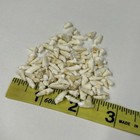 Lot Of 100 Assorted Small Coyote Teeth Real Cleaned Taxidermy Weird Goth  2481
