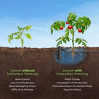 6 In  Deep Root Watering System  2-pack 