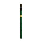 Feadog Brass Irish Tin Whistle Key Of D Small Flute Made In Ireland green