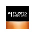 Duracell Coppertop Alkaline Batteries With Duralock Power Preserve Technology