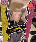 New Kids On The Block Donnie    show Time Kids    Doll 19      In Box