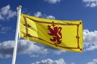 Large Scotland Rampant Lion Flag 5x3ft Football World Cup Scottish Fan Support