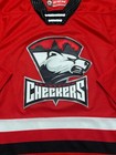 Charlotte Checkers Ccm Ahl Red Home Hockey Jersey Adult Sz Small
