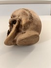 Randotti Original Med  Skull   829 Still Glows In The Dark When Exposed To Light