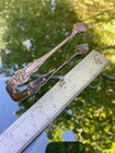 Sugar Cube Tongs  Art Nouveau  