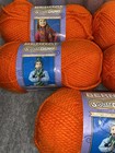Lot Of 5 Bernat Softee Chunky Yarn Hot Orange 3 5oz Skeins