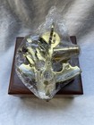 Vintage Hampton Nautical Brass Sextant In Wooden Box