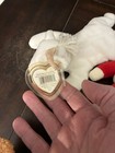 Ty Beanie Baby Lot  8  Retired 1990s - Mwmt Rare Tags Erin  Valentina   Mystic  