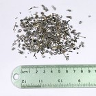 10 Grams Tiny Watch Parts Steampunk Screws Gear Nail Art Watchmaker Lot Repair B