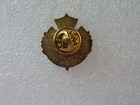 France Football Federation Enamel Lapel Pin Crown Motif Design Tri-color Flag