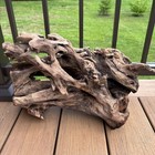 Entangled Root Driftwood 16x10 Dense Organic Wood Terrarium Aquascaping Decor