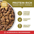 Purina One Dry Dog Food Lamb And Rice Formula - 31 1 Lb  Bag