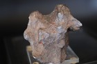 Gebel Kamil Iron Meteorite 173 5  Grams 2 25 Inches  Nice Piece 