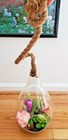 Nwot Big Various Artificial Plants Teardrop Unique Design Hanging Glass Vase Pot