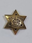 Wells Fargo Agent Lapel Pin Small Size Gold Color Star