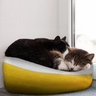 Pet Dog Bed Soft Warm Fleece Puppy Cat Bed Dog Cozy Nest Sofa Bed Cushion S m