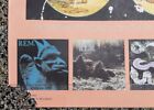 R e m  Document 1988 Promo Poster Original Vintage Irs Records Rem 80 s 24 X 39