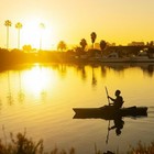 Lifetime Kenai Sit-on-top Kayak Paddle Included Free Shipping New