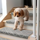 Dexde Bullnose Carpet Star  2  Pcs Stair Treads Fo